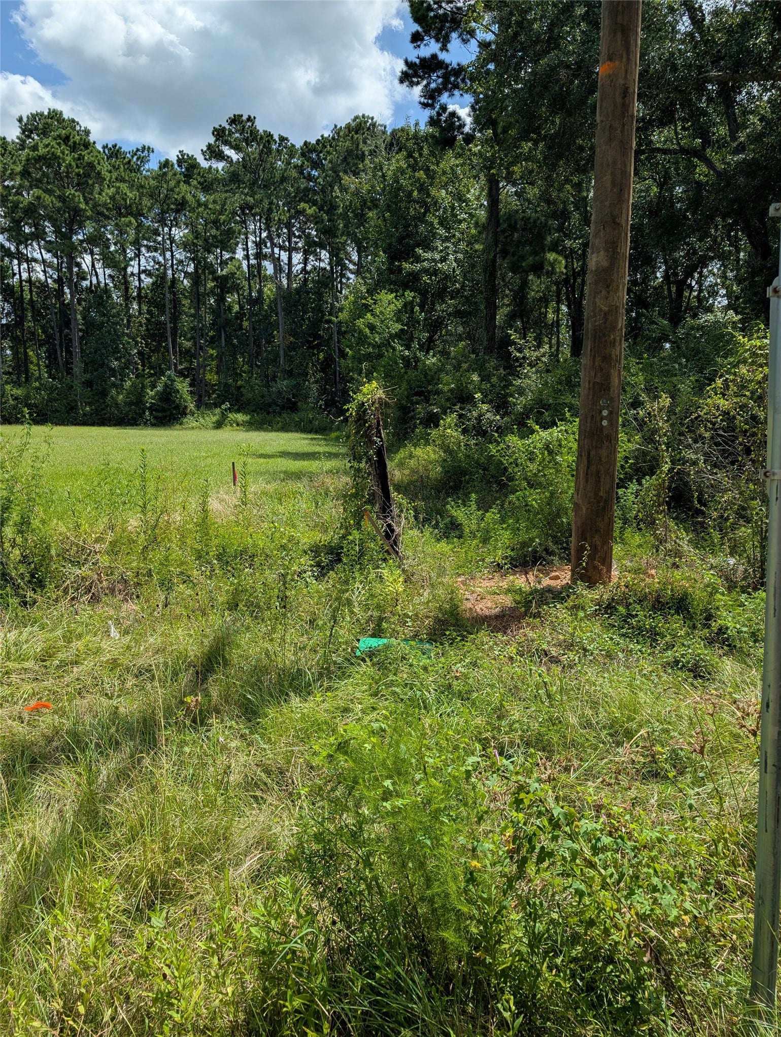 20265 Willaby Road, New Caney, TX 77357