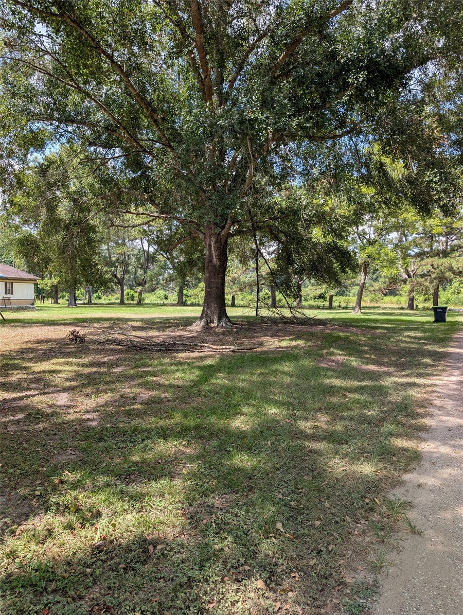 Property photo for 20265 Willaby Road, New Caney, TX