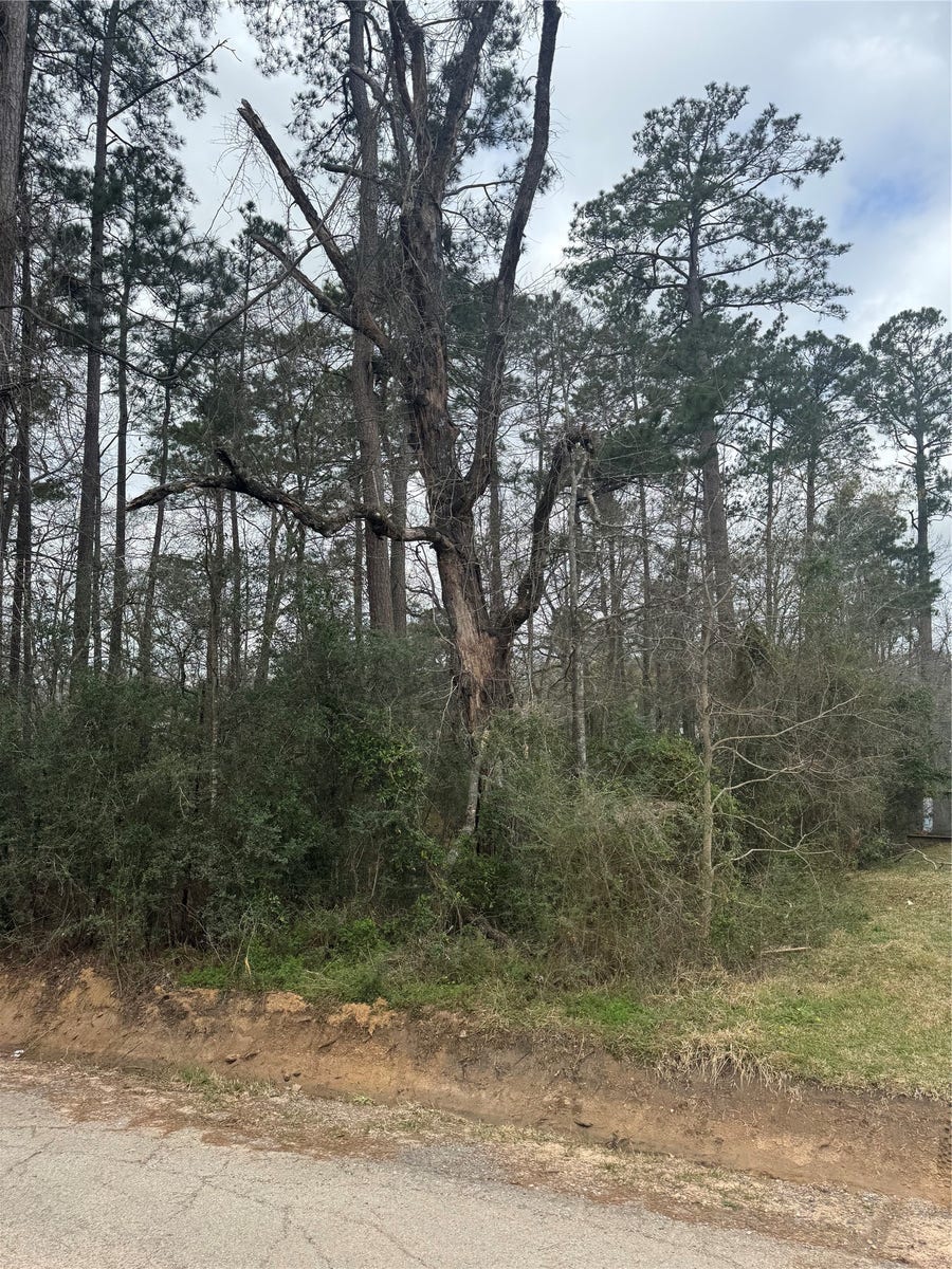Property photo for 14871 Fannin Rd, Willis, TX