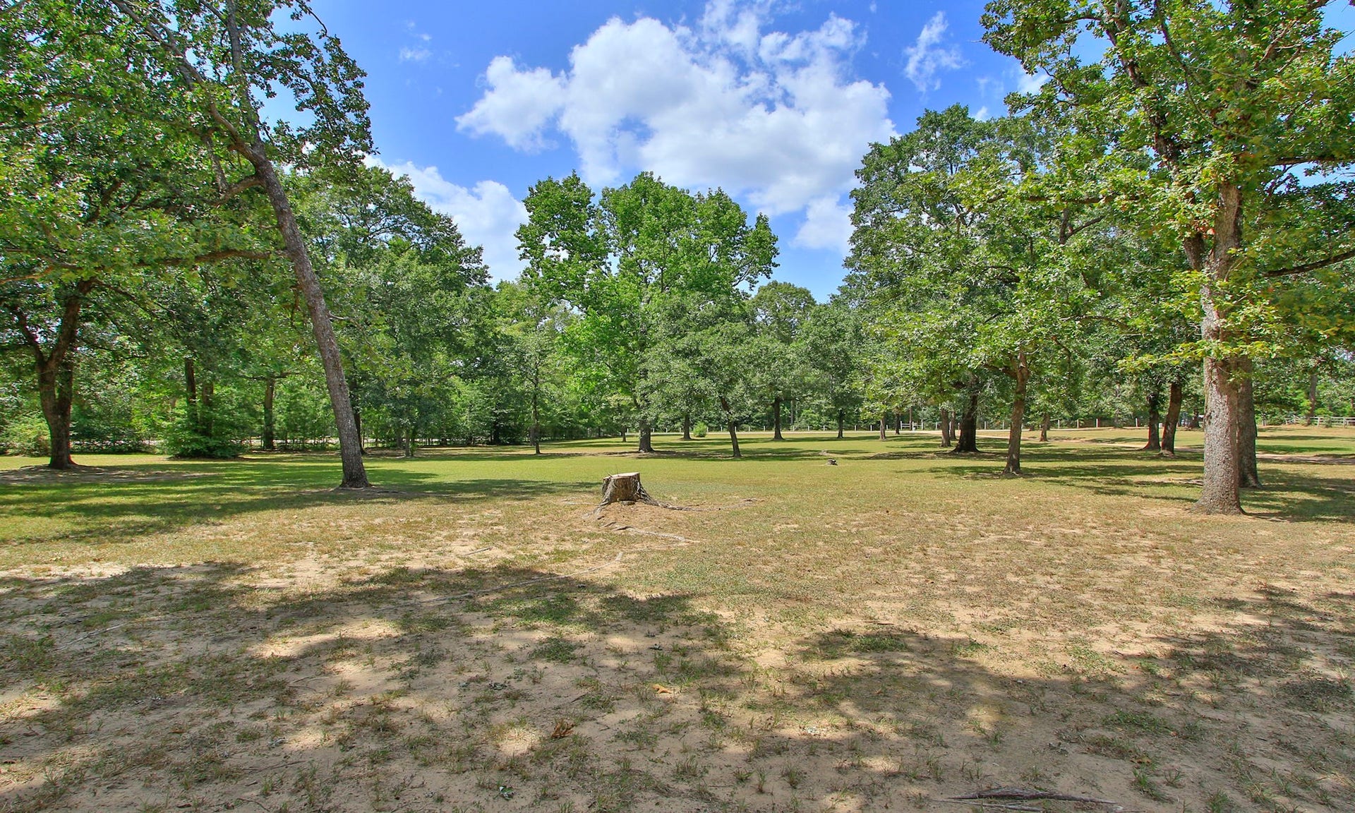 Come home every day to natures beauty.
Located in the highly sought-after FM 1486 area near Magnolia and FM 1774, with quick access to SH 249 and an easy commute to Tomball and College Station.