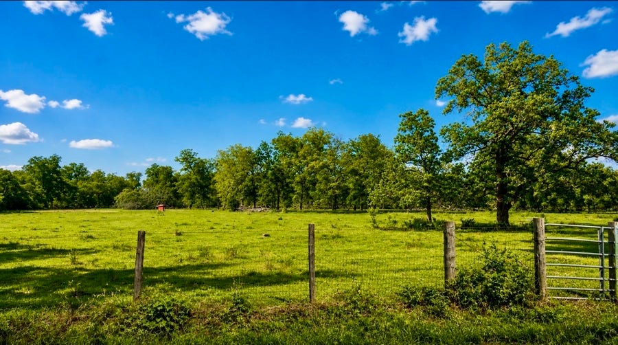 Property photo for 0 County Road 42, Rosharon, TX