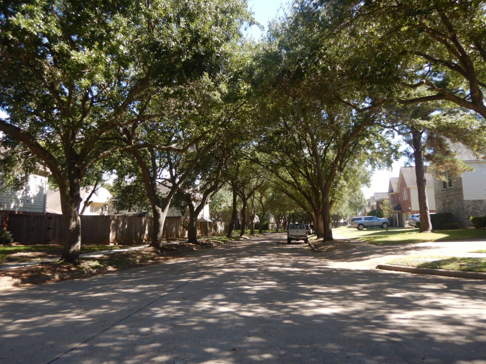 4518 Westray Drive, Missouri City, TX 77459 Tree lined street