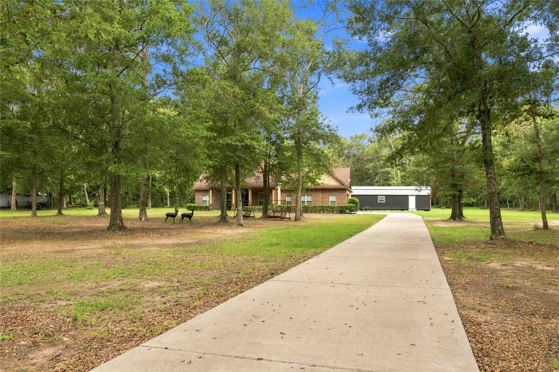 21015 Angus Drive, Cleveland, TX 77328 21015 Angus Drive, Cleveland, TX 77328