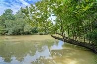 Property photo for 24831 River Terrace Road, Huffman, TX
