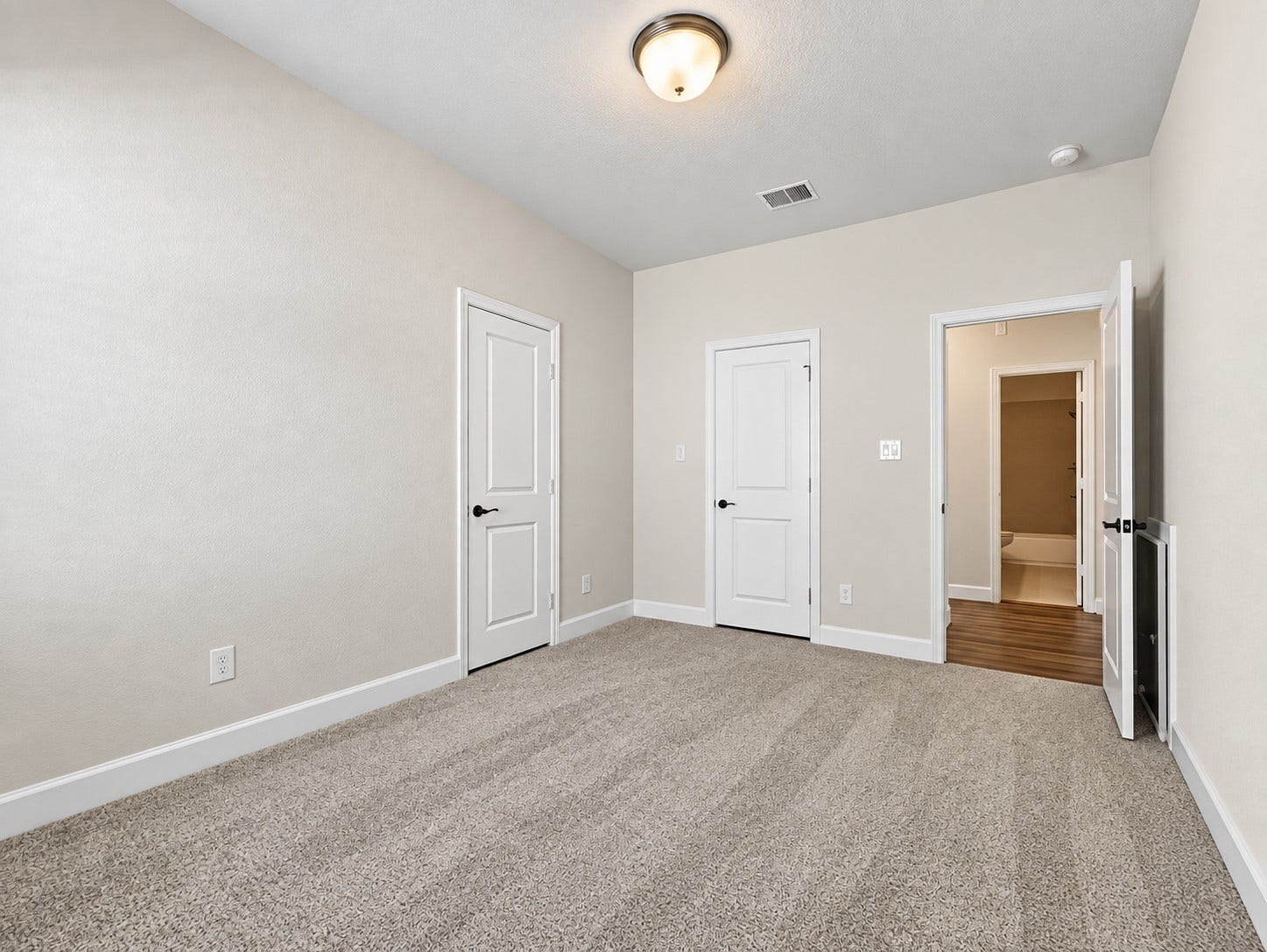 146 Dove Springs Court, Conroe, TX 77304 146 Dove Springs Court, Conroe, TX 77304