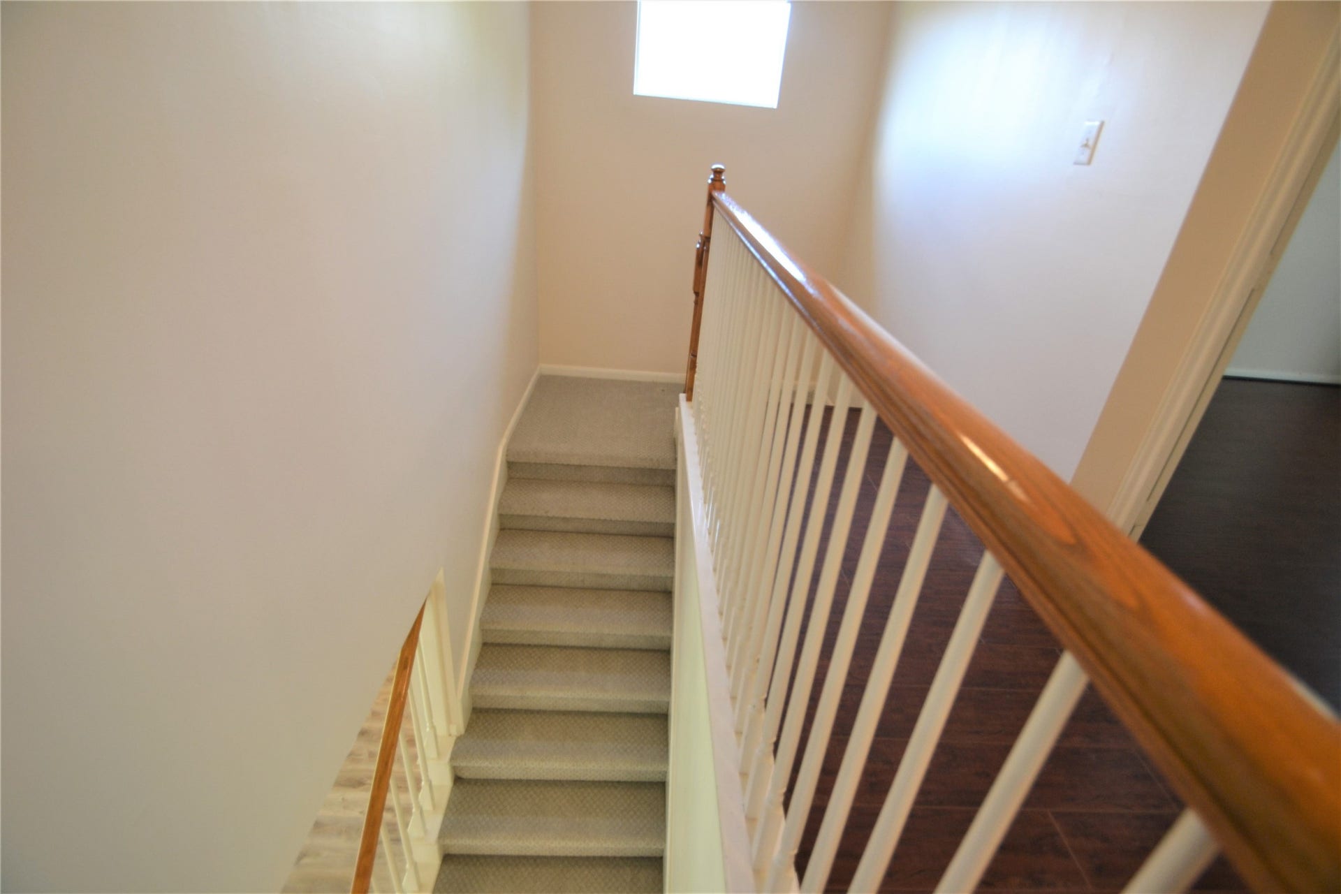 5007 Bellmead Drive, Missouri City, TX 77459 5007 Bellmead Drive, Missouri City, TX 77459