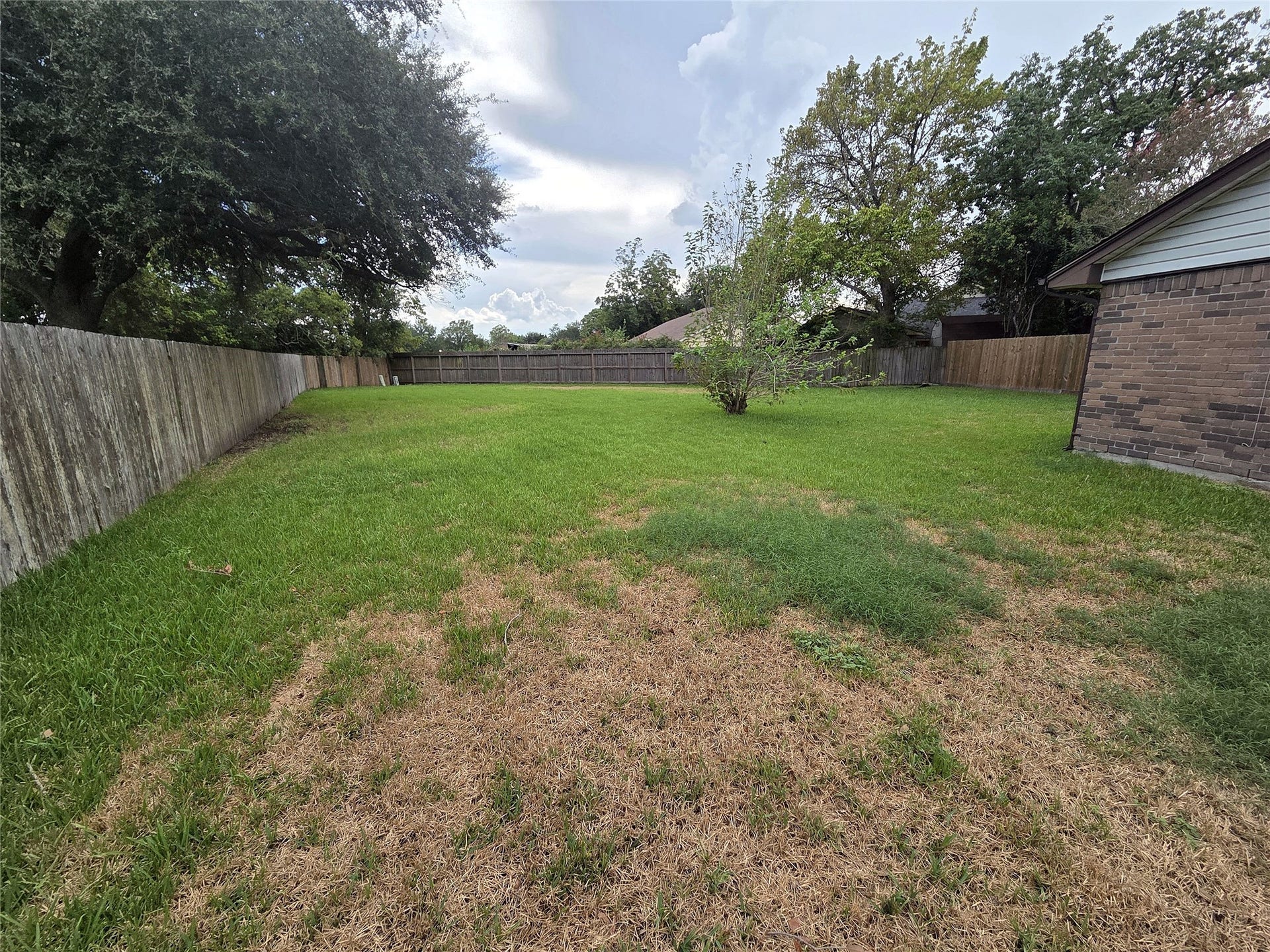 Another backyard angle shows the lawn, mature trees, and wood privacy fencing.