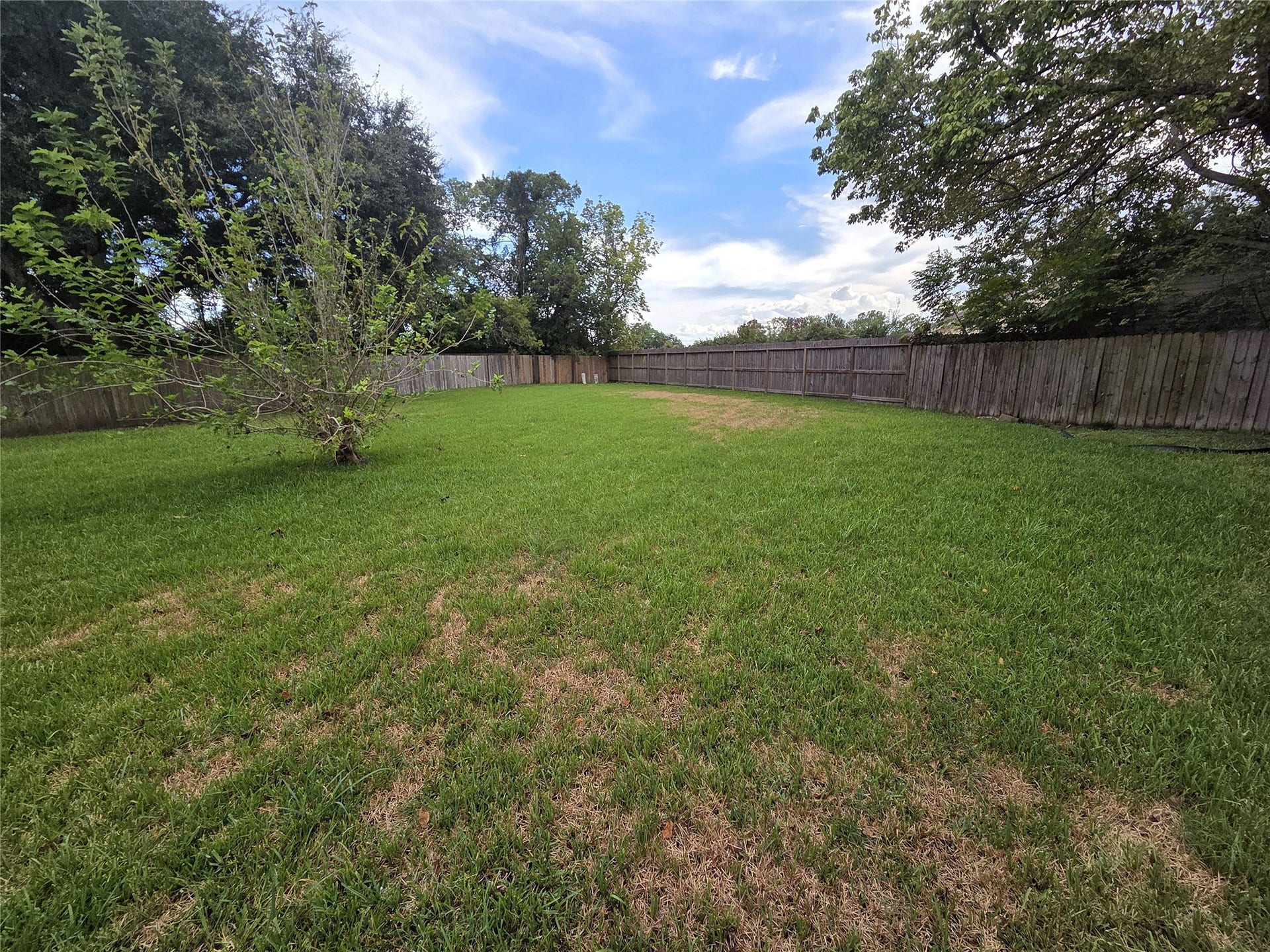 Fenced backyard with open lawn space for gardening, play, or outdoor gatherings.