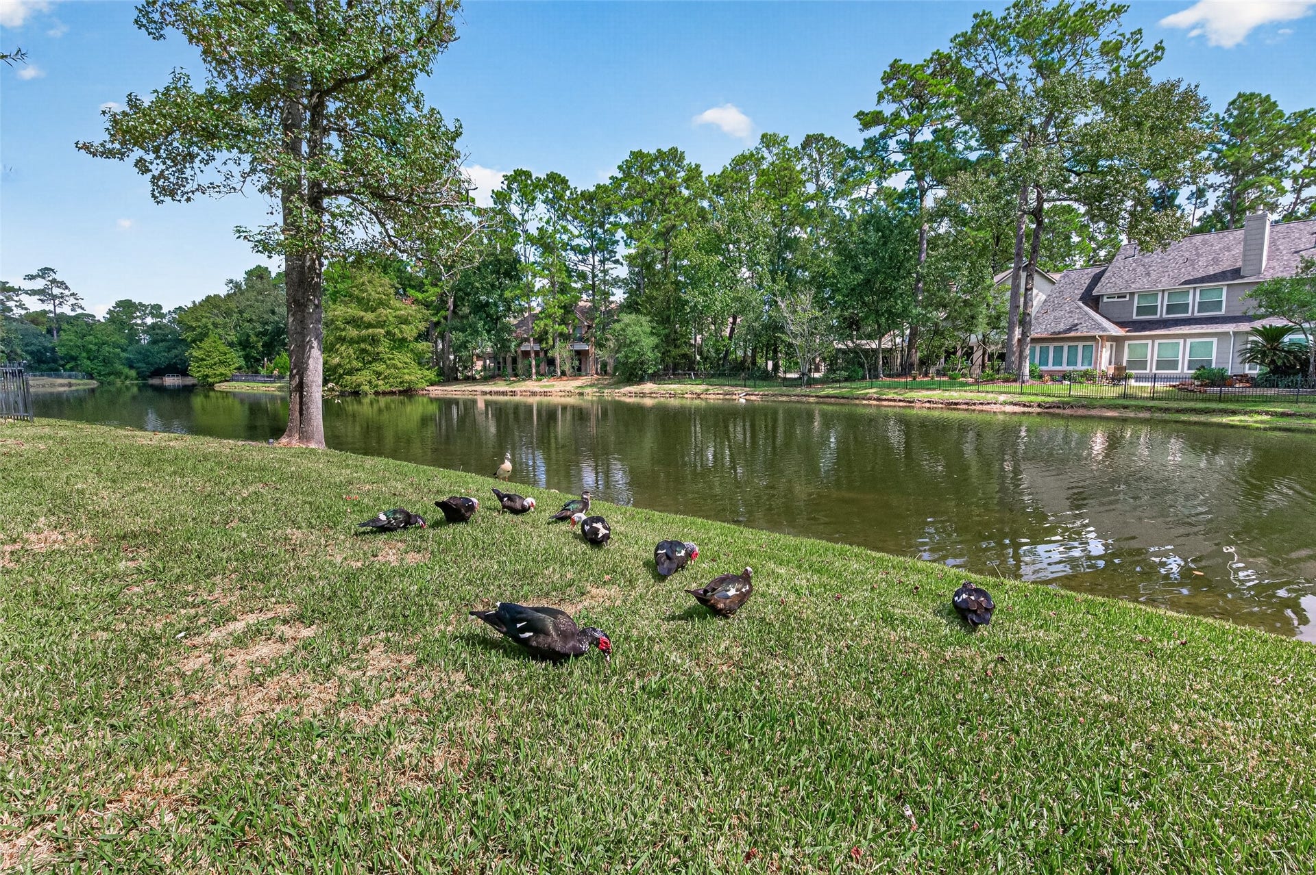2 Turtle Rock Court, Spring, TX 77381 2 Turtle Rock Court, Spring, TX 77381
