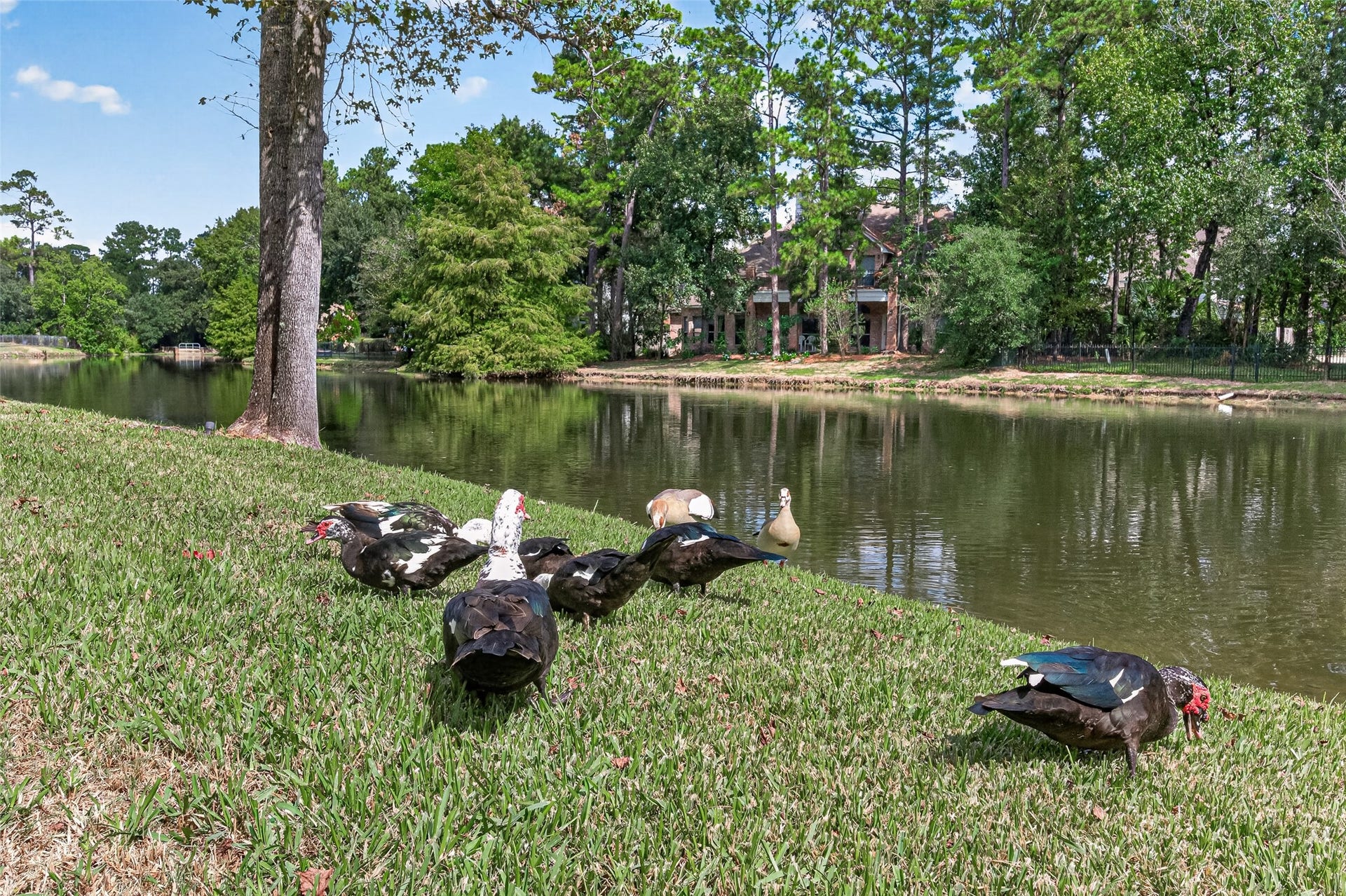 2 Turtle Rock Court, Spring, TX 77381 2 Turtle Rock Court, Spring, TX 77381