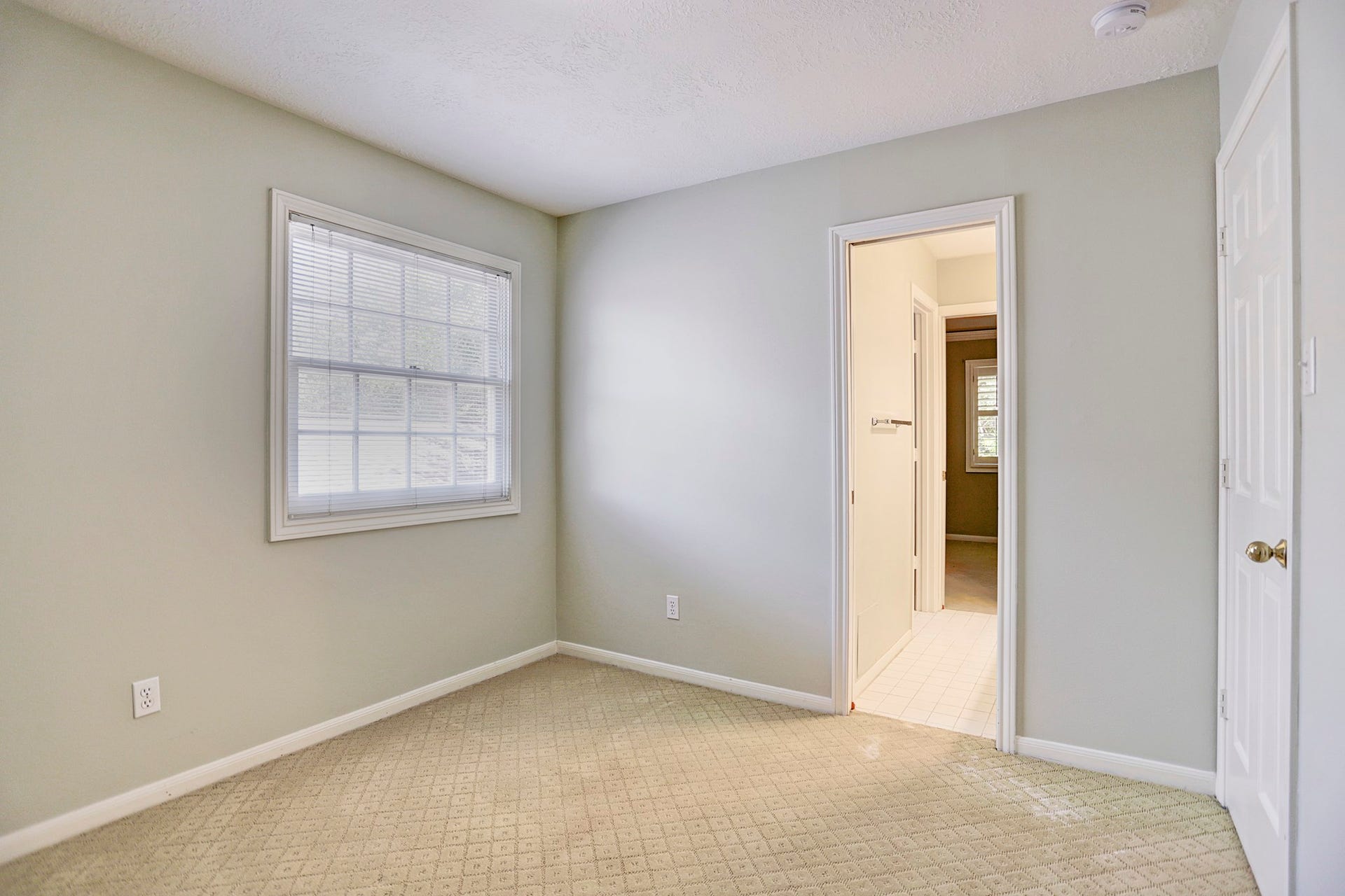3719 Carlon Street, Houston, TX 77005 3719 Carlon Street, Houston, TX 77005