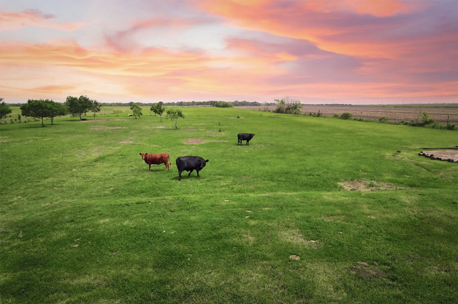Property photo for 8007 County Road 170, Alvin, TX
