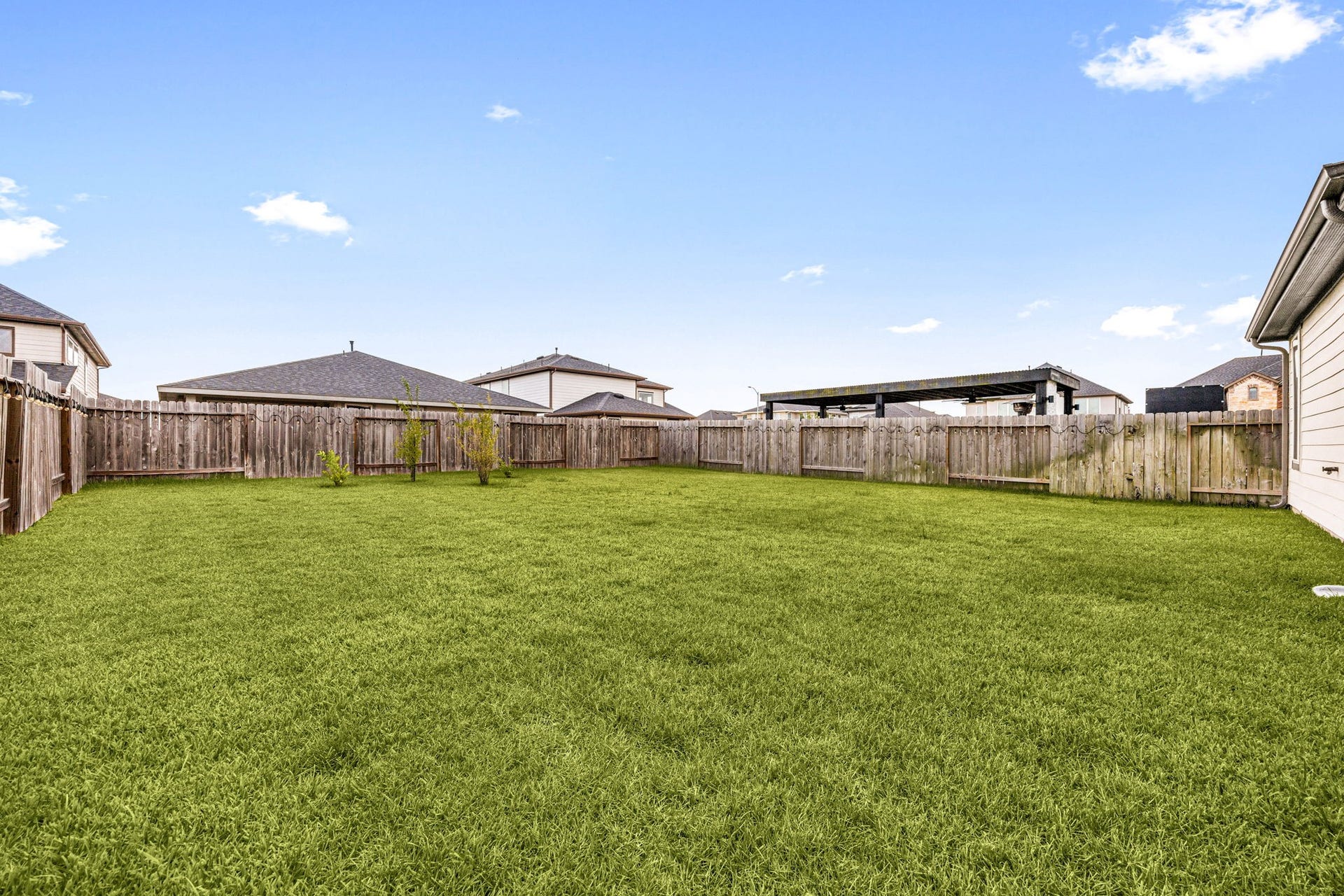 3815 Favor Forest Court, Katy, TX 77494 Mature landscaping and a spacious lawn make this backyard a versatile space for outdoor enjoyment.