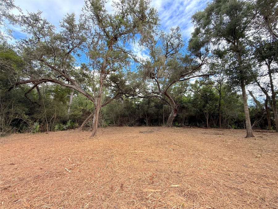 Property photo for Lot 12A2 CR 345, Brazoria, TX