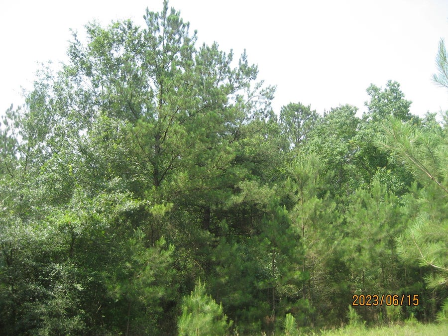 Property photo for 0 Round Up Road, Waller, TX