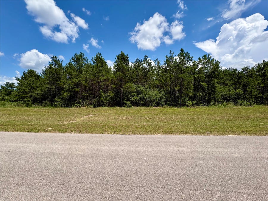 Property photo for 16270 Ridge Oak Road, Willis, TX