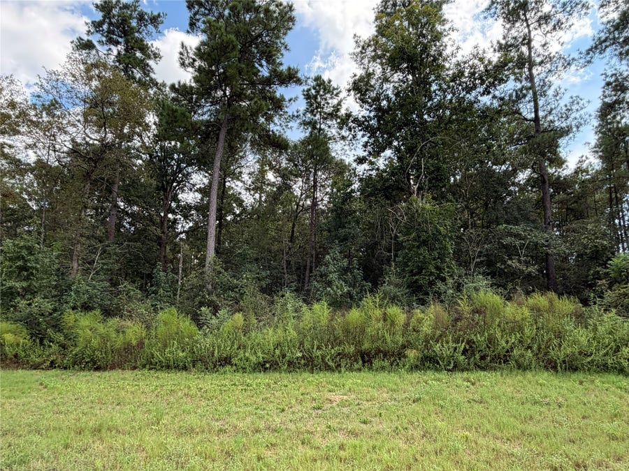Property photo for 15261 Forest Grove Drive, Willis, TX