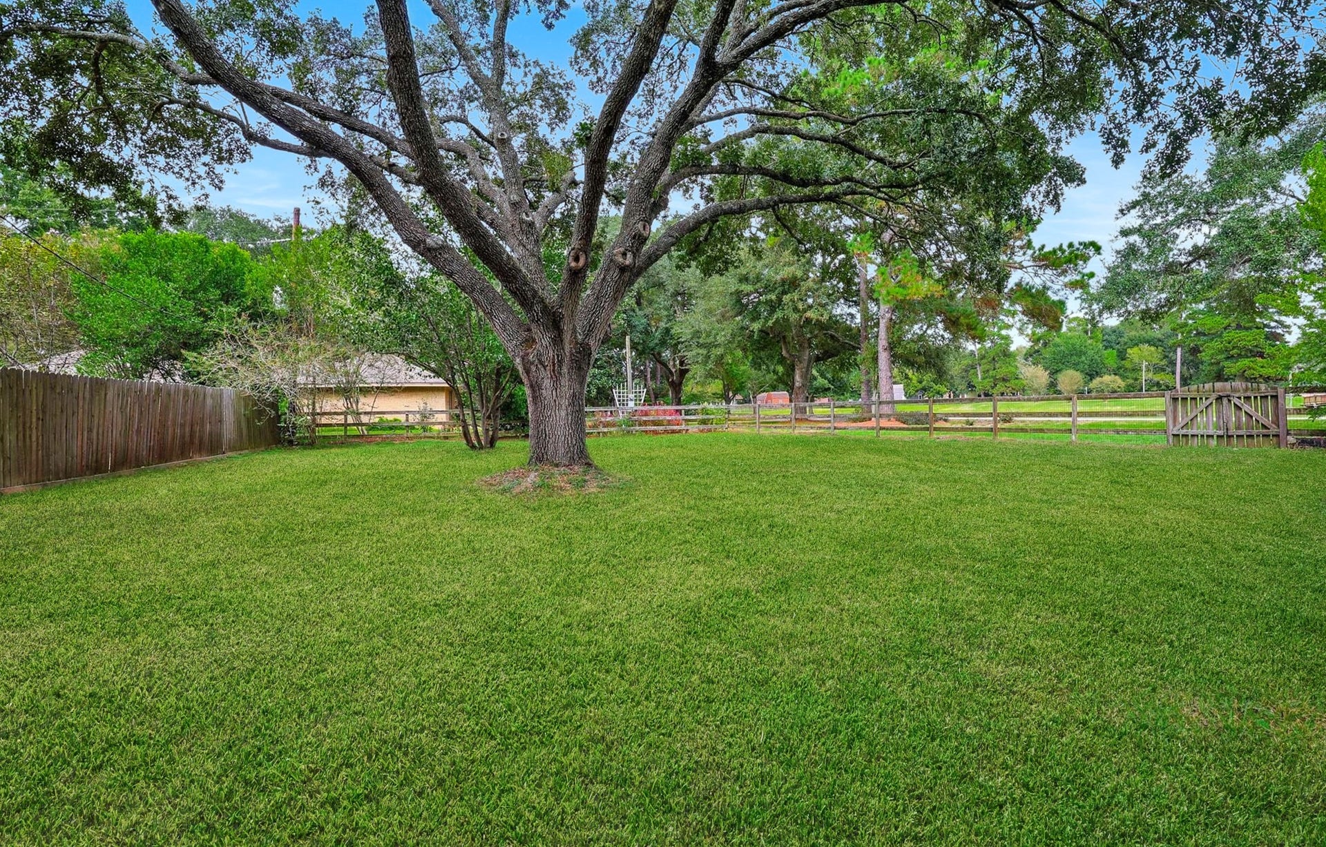 22107 Rosewood Trail, Tomball, TX 77377 Fenced Back yard