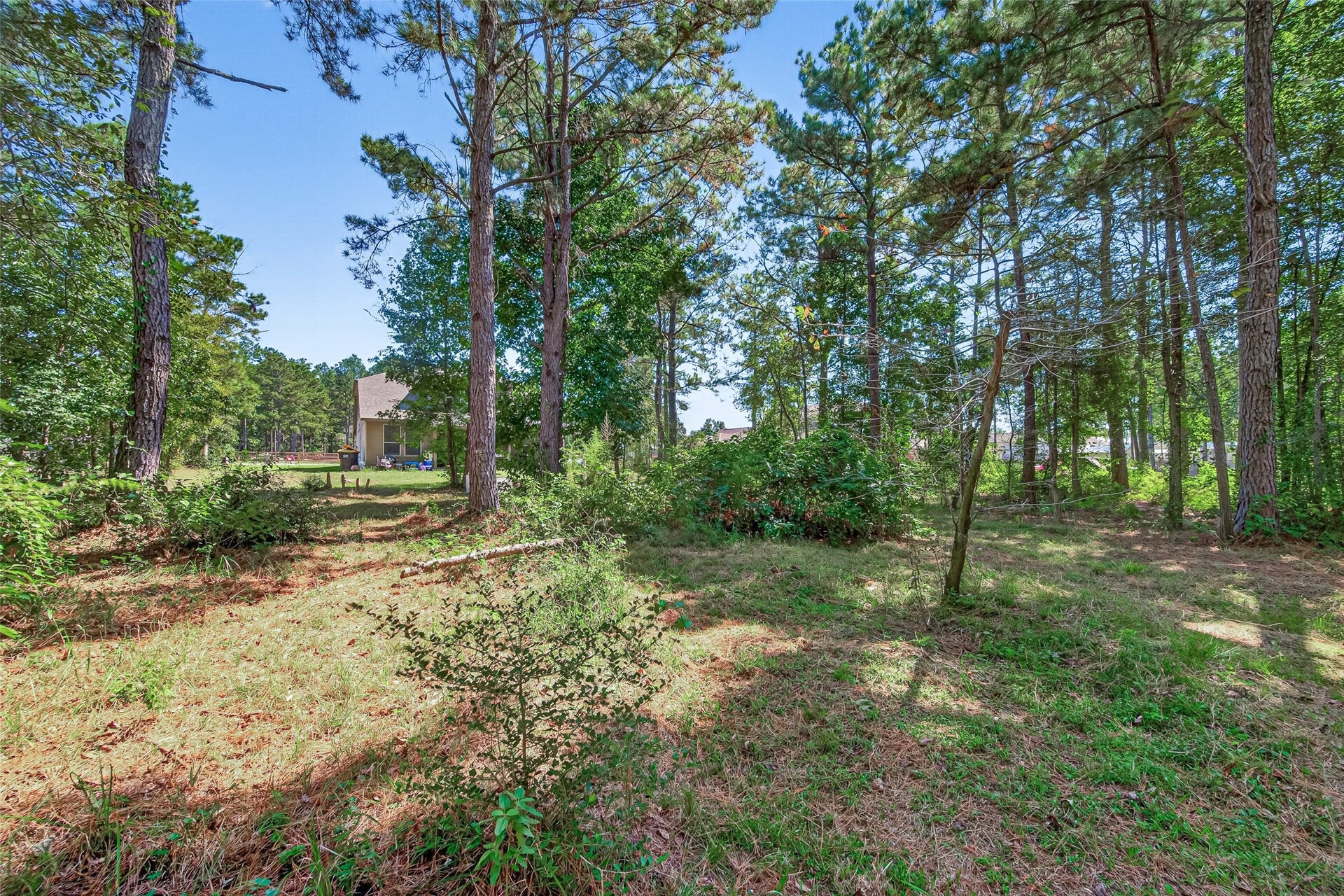 9689 Waller Street, Conroe, TX 77303 9689 Waller Street, Conroe, TX 77303