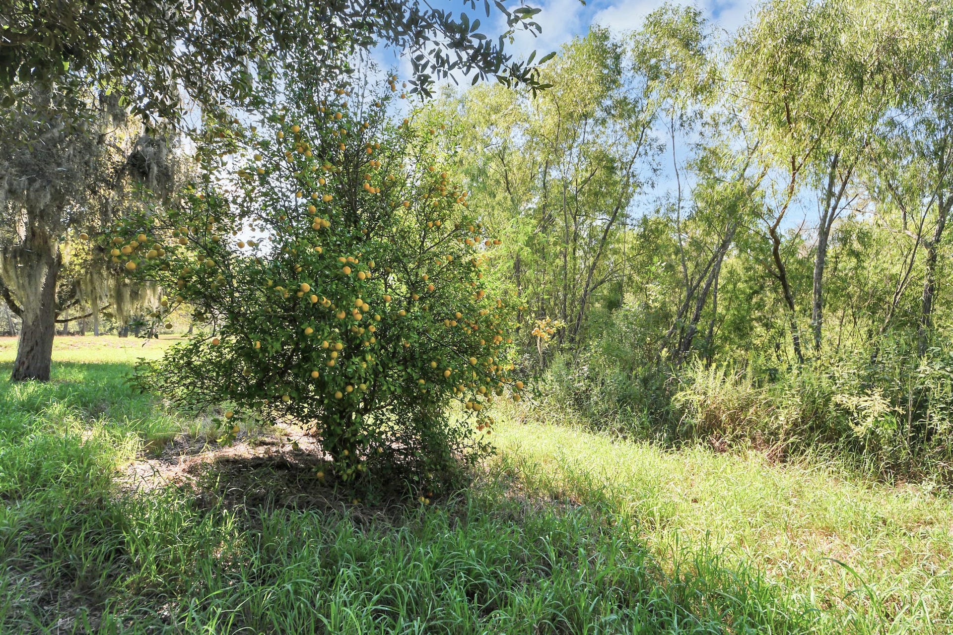 0 Laguna, Needville, TX 77461 0 Laguna, Needville, TX 77461
