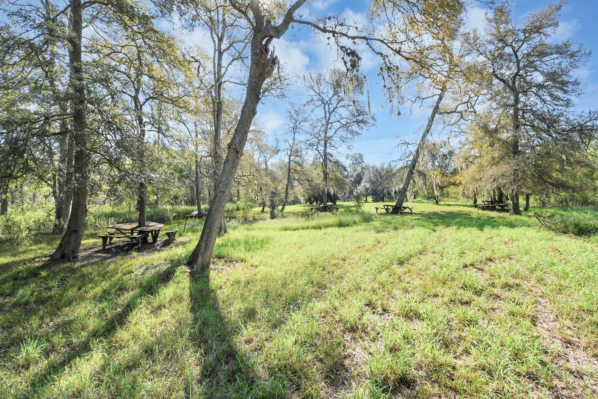 0 Laguna, Needville, TX 77461 0 Laguna, Needville, TX 77461