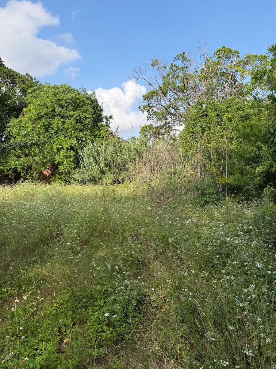 Property photo for 2010 Brackenridge Lot B Street, Houston, TX