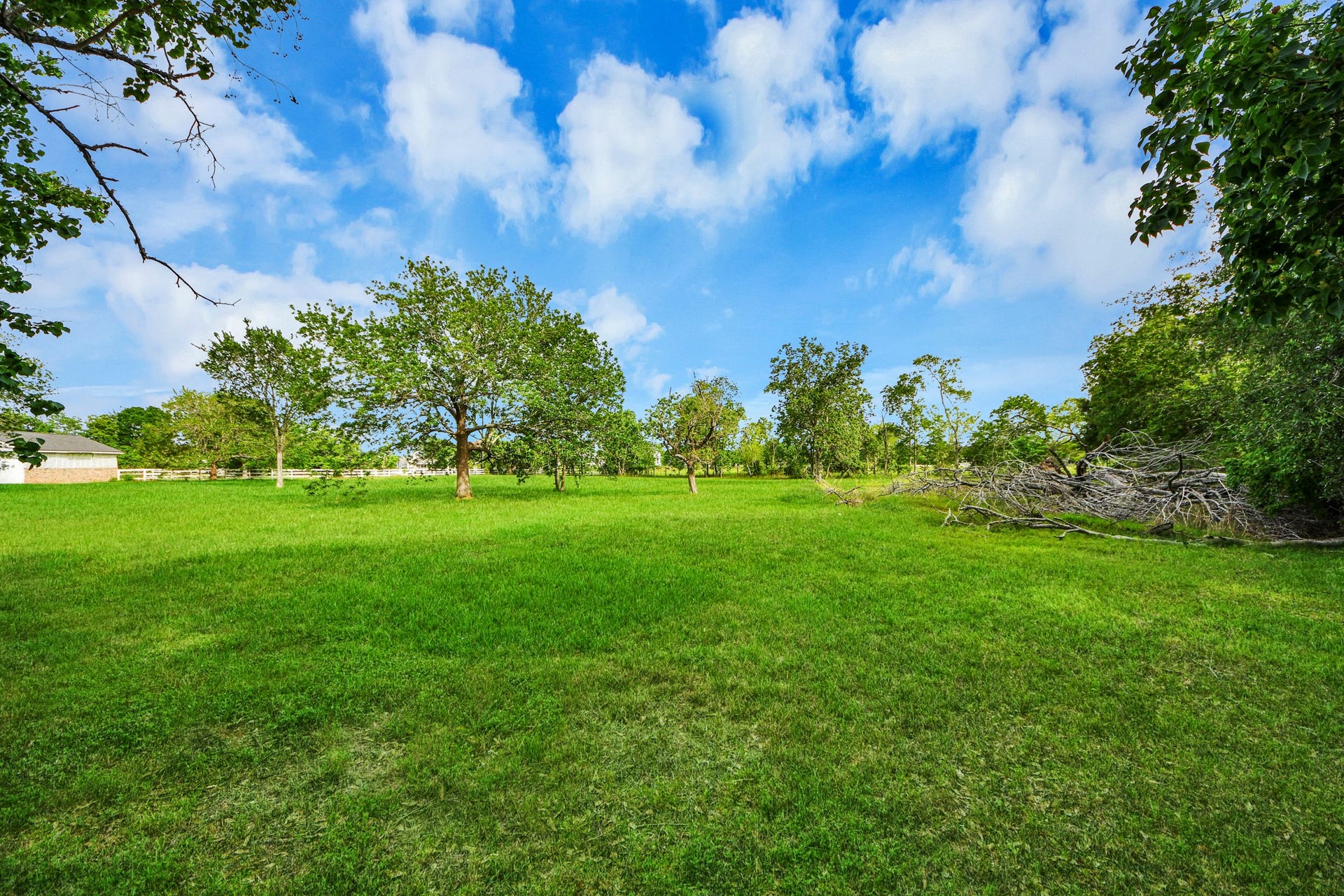 12746 Roy Road, Pearland, TX 77581 Spacious, lush green lot with scattered mature trees, perfect for building your dream home. Offers a serene, natural setting with a clear blue sky above.