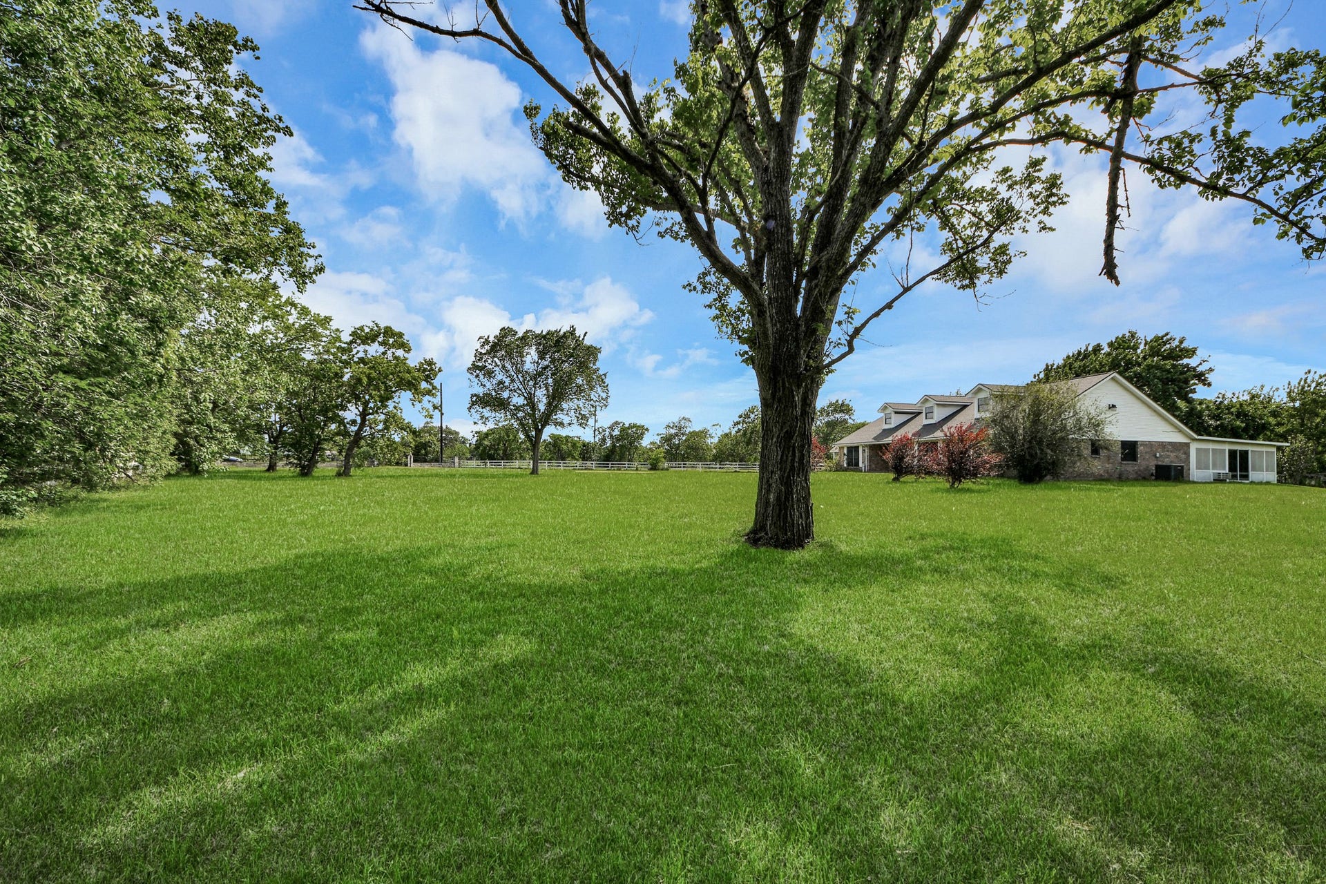 12746 Roy Road, Pearland, TX 77581 Expansive green lawn with mature trees, offering a serene view of a spacious home in the background, perfect for privacy and outdoor enjoyment.