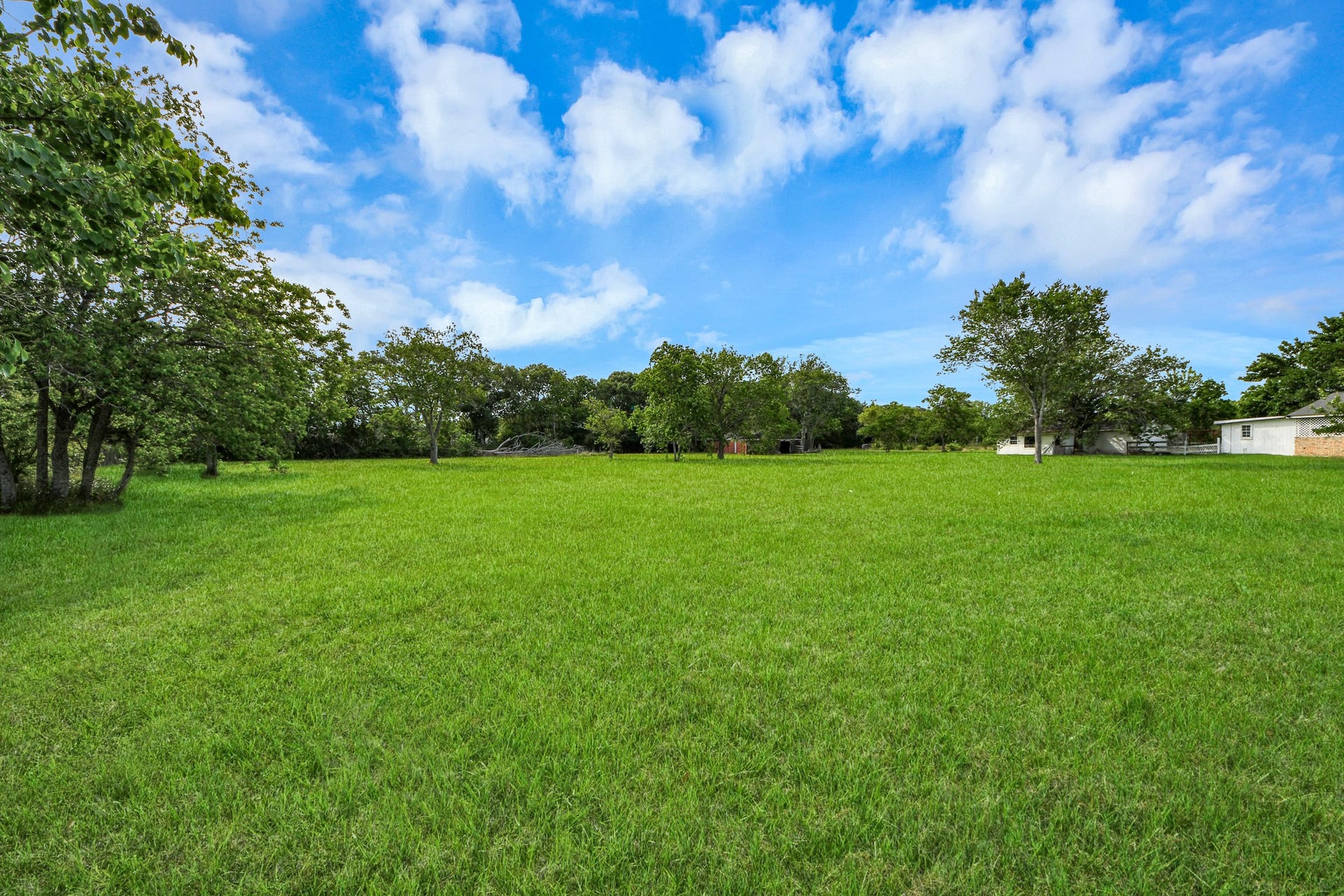 12746 Roy Road, Pearland, TX 77581 Expansive, lush green lot with scattered trees, offering open space and a serene, rural feel. Ideal for building a dream home with plenty of room for outdoor activities.