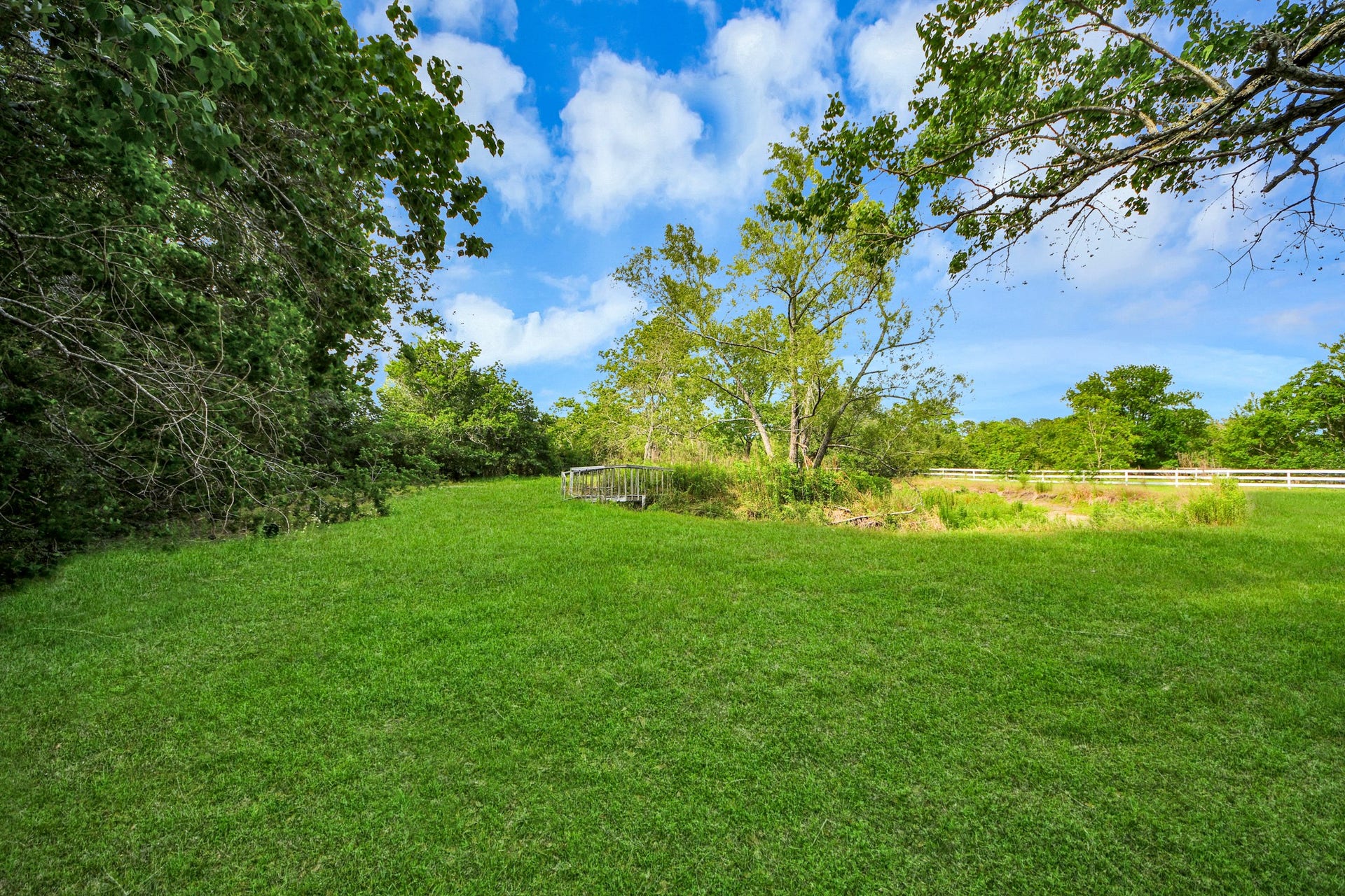 12746 Roy Road, Pearland, TX 77581 This photo showcases a spacious, lush green backyard with mature trees and a bright blue sky, offering a serene and private outdoor space.