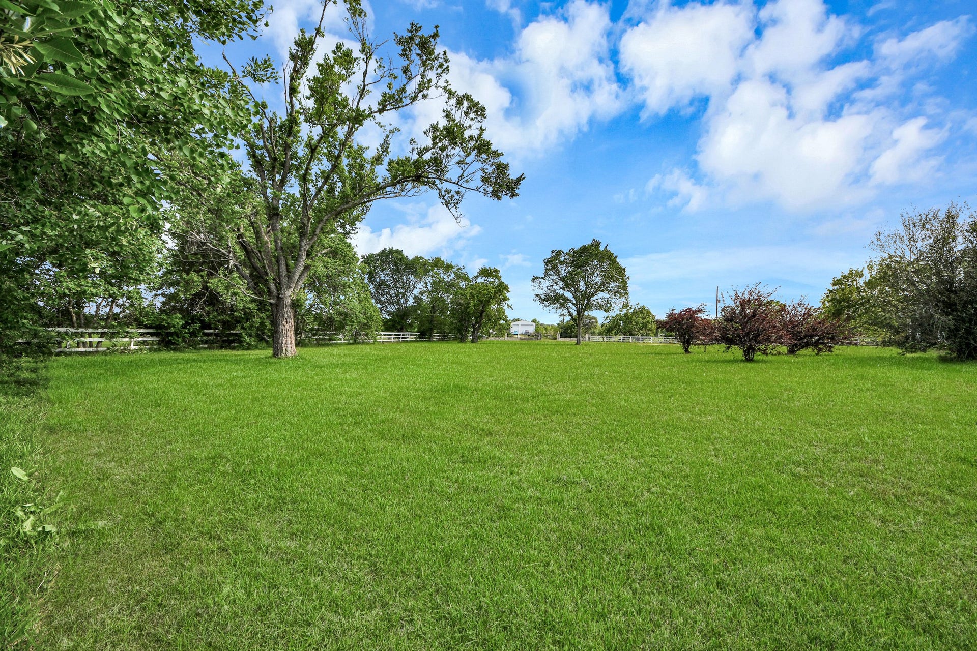 12746 Roy Road, Pearland, TX 77581 Spacious grassy yard with mature trees and a clear blue sky, perfect for outdoor activities and relaxation.
