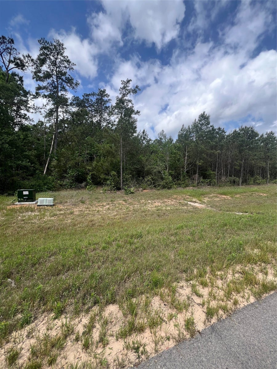 Property photo for 16229 Ridge Oak Road, Willis, TX