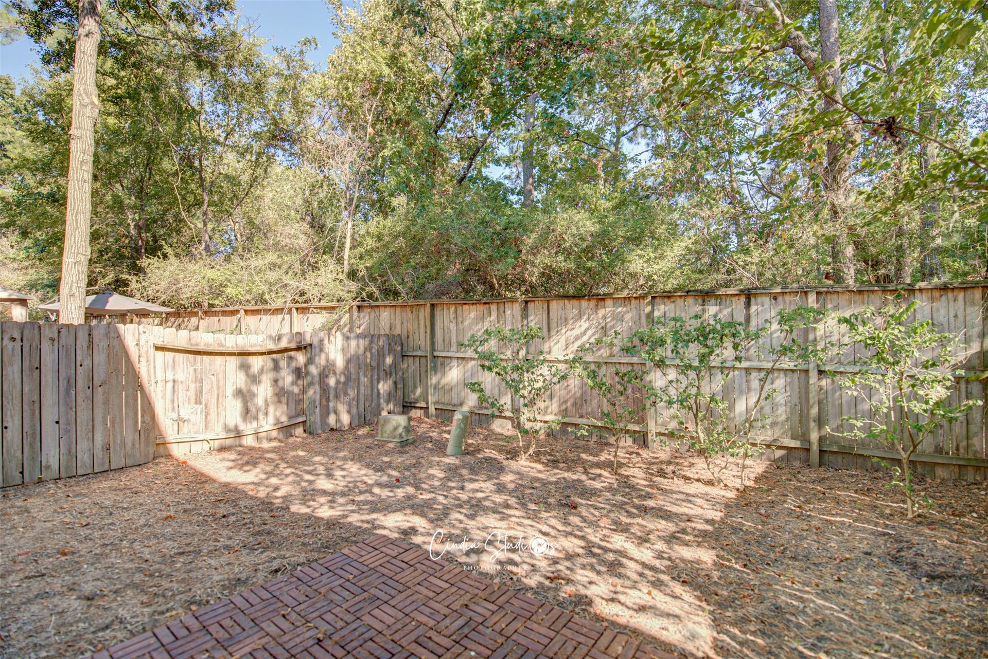 193 Musewood Court, The Woodlands, TX 77382 193 Musewood Court, The Woodlands, TX 77382