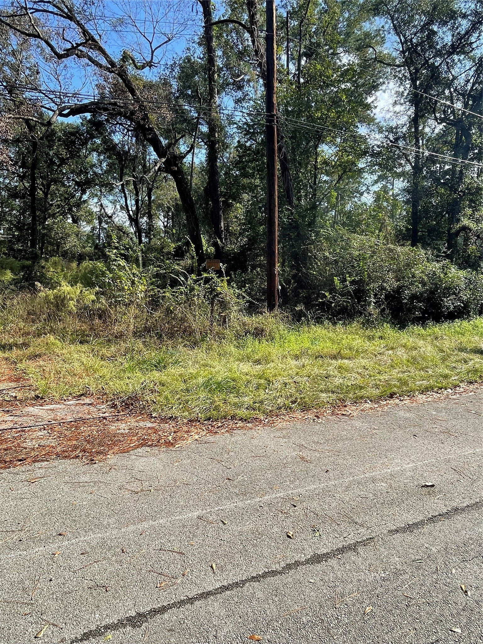 0 Overcup Drive, Spring, TX 77389 0 Overcup Drive, Spring, TX 77389