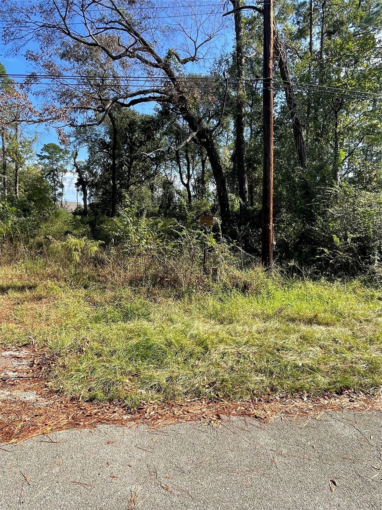 0 Overcup Drive, Spring, TX 77389 0 Overcup Drive, Spring, TX 77389
