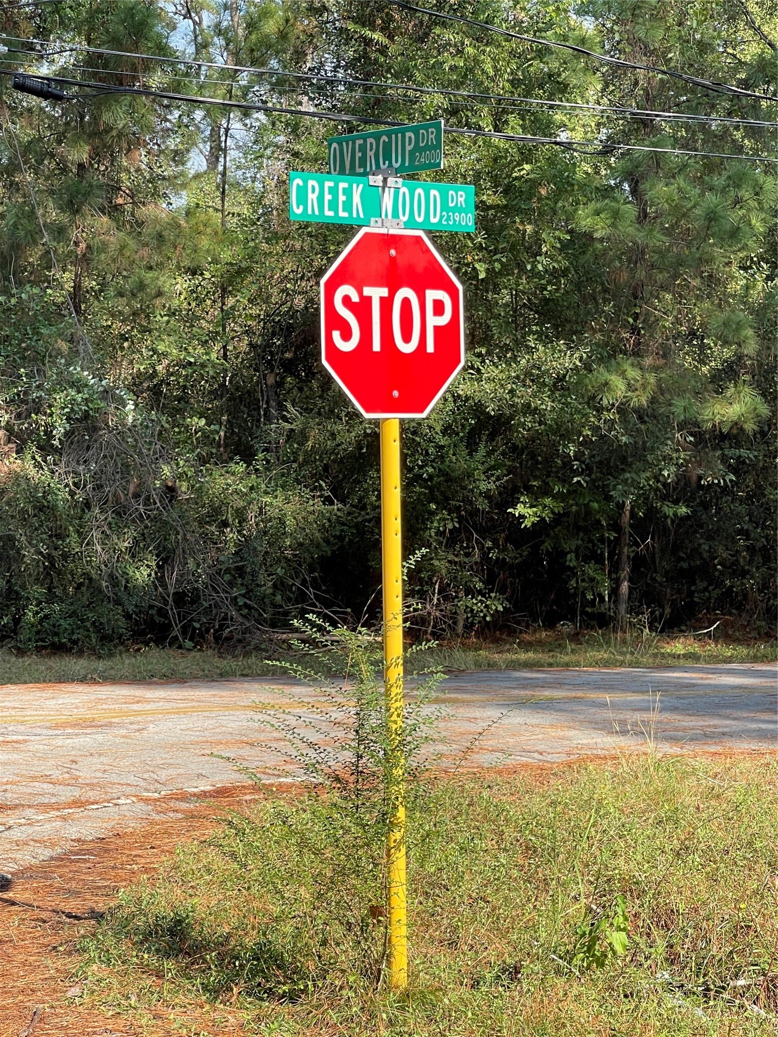 0 Overcup Drive, Spring, TX 77389 0 Overcup Drive, Spring, TX 77389