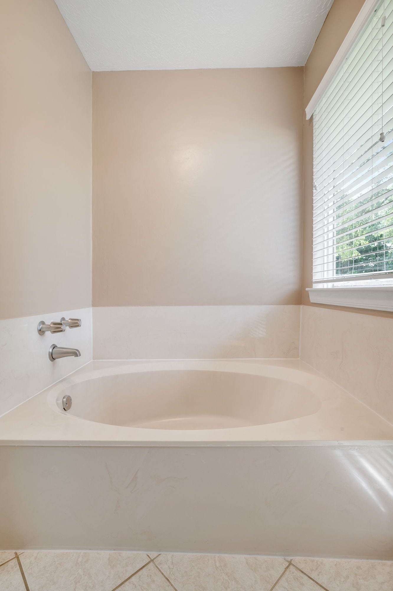 705 Briarmeadow Avenue, Friendswood, TX 77546 soaking tub