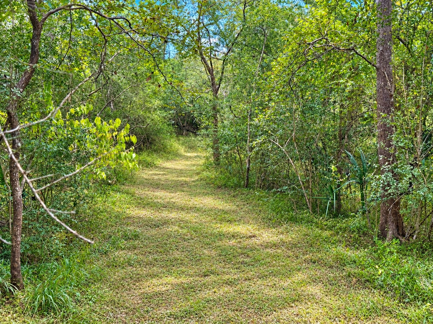 161 County Road 508, Brazoria, TX 77422 161 County Road 508, Brazoria, TX 77422