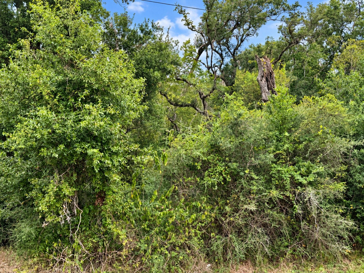 161 County Road 508, Brazoria, TX 77422 161 County Road 508, Brazoria, TX 77422
