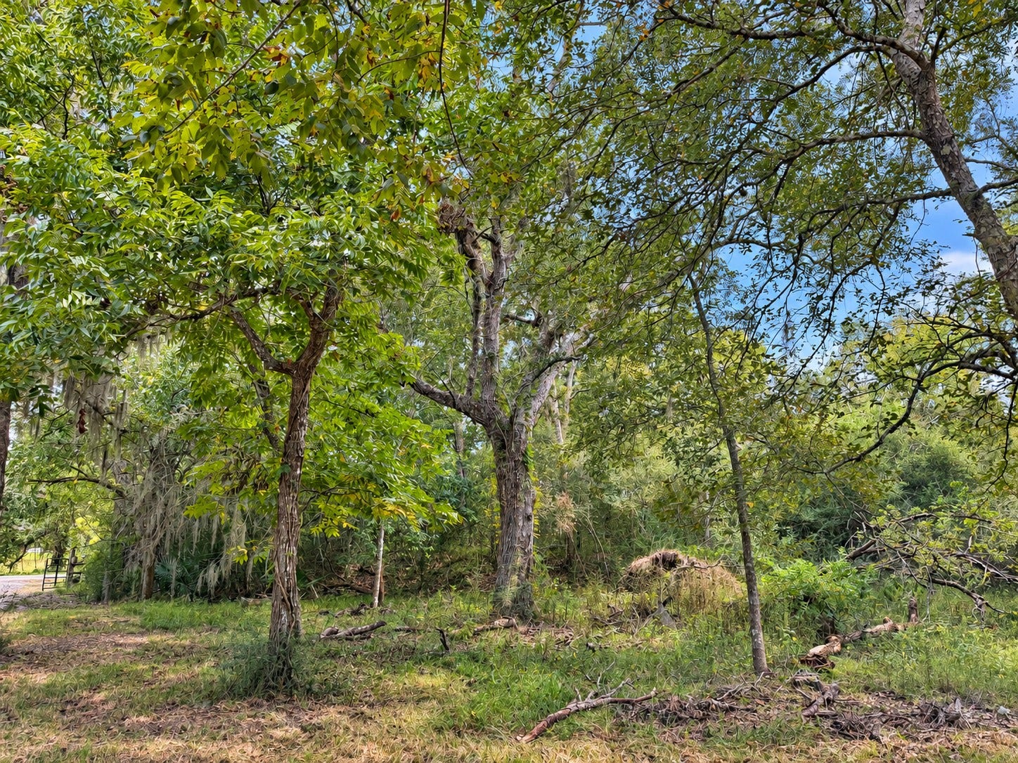 161 County Road 508, Brazoria, TX 77422 161 County Road 508, Brazoria, TX 77422