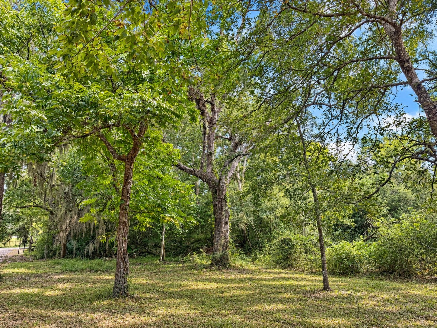161 County Road 508, Brazoria, TX 77422 161 County Road 508, Brazoria, TX 77422