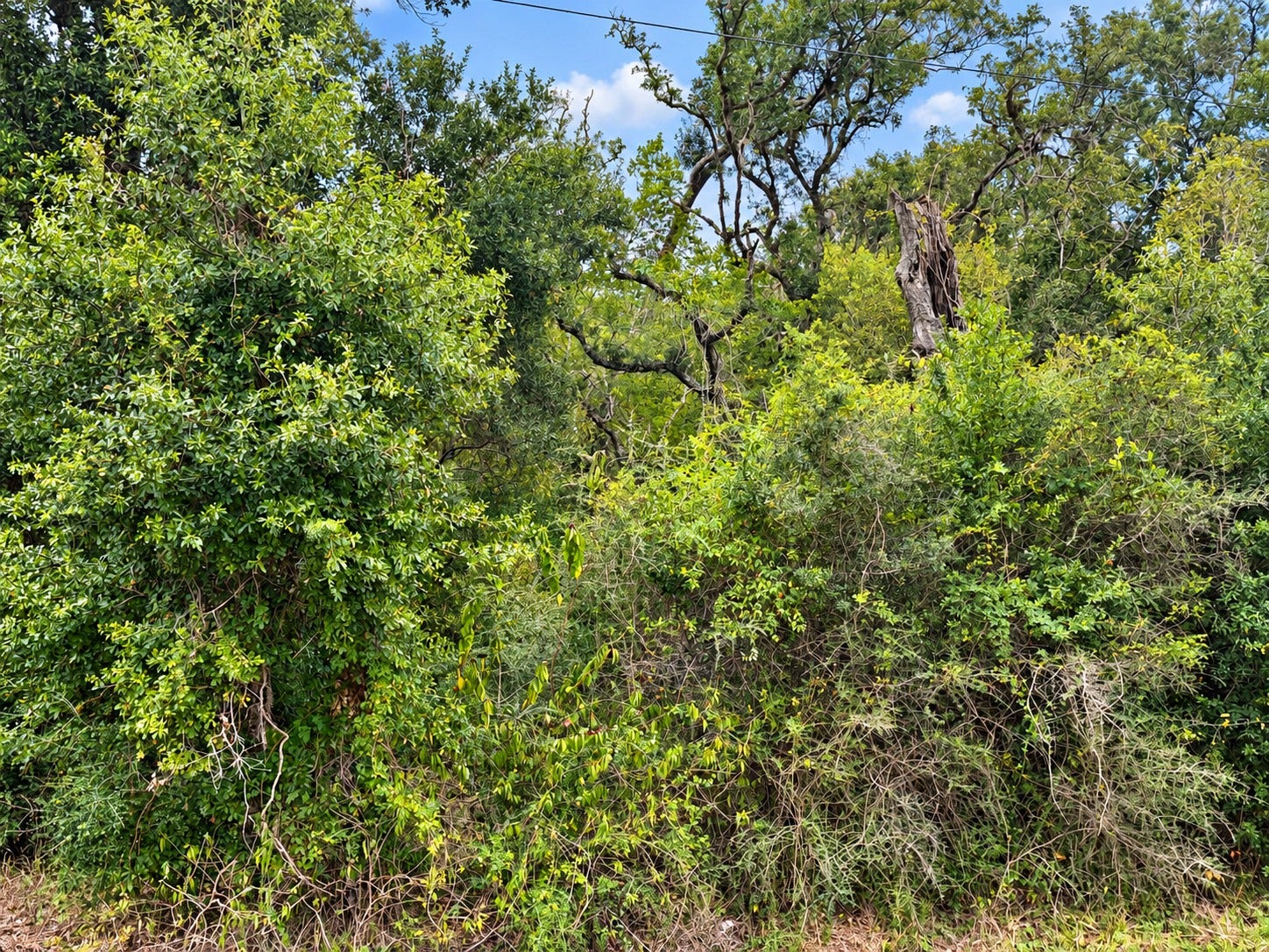 161 County Road 508, Brazoria, TX 77422 161 County Road 508, Brazoria, TX 77422