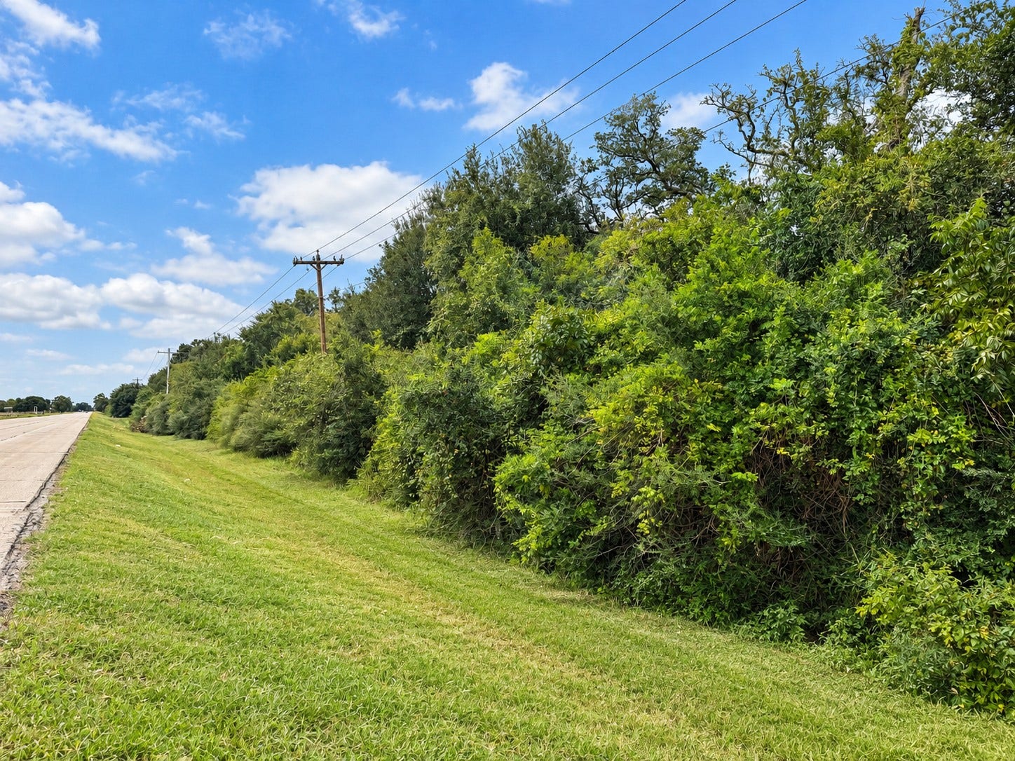 161 County Road 508, Brazoria, TX 77422 161 County Road 508, Brazoria, TX 77422