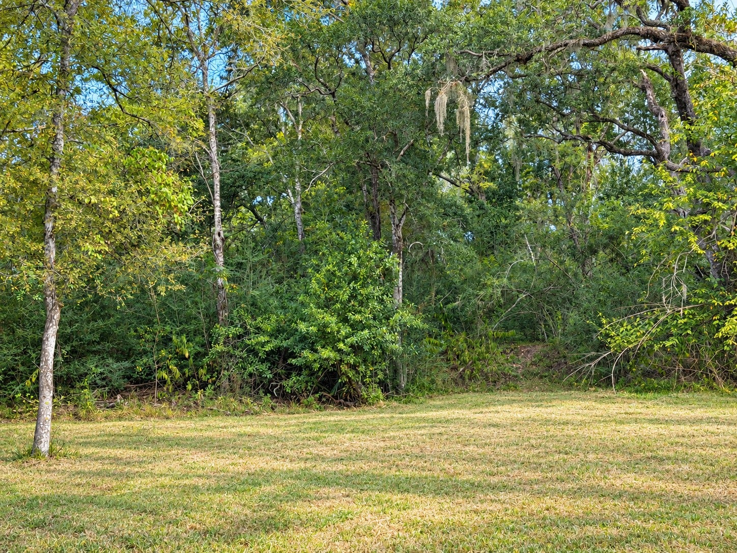 161 County Road 508, Brazoria, TX 77422 161 County Road 508, Brazoria, TX 77422