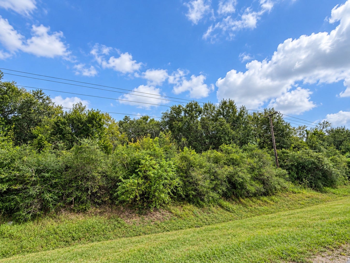 161 County Road 508, Brazoria, TX 77422 161 County Road 508, Brazoria, TX 77422
