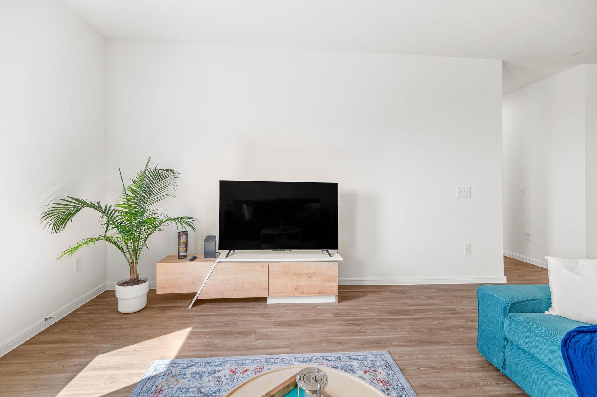 Bright living area featuring a sleek TV setup, modern wood look flooring, and a cozy blue sofa accented by a lush potted plant.