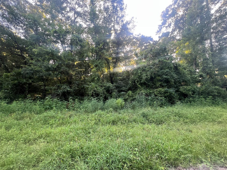 Property photo for N/A Royal Creek Rd, Conroe, TX