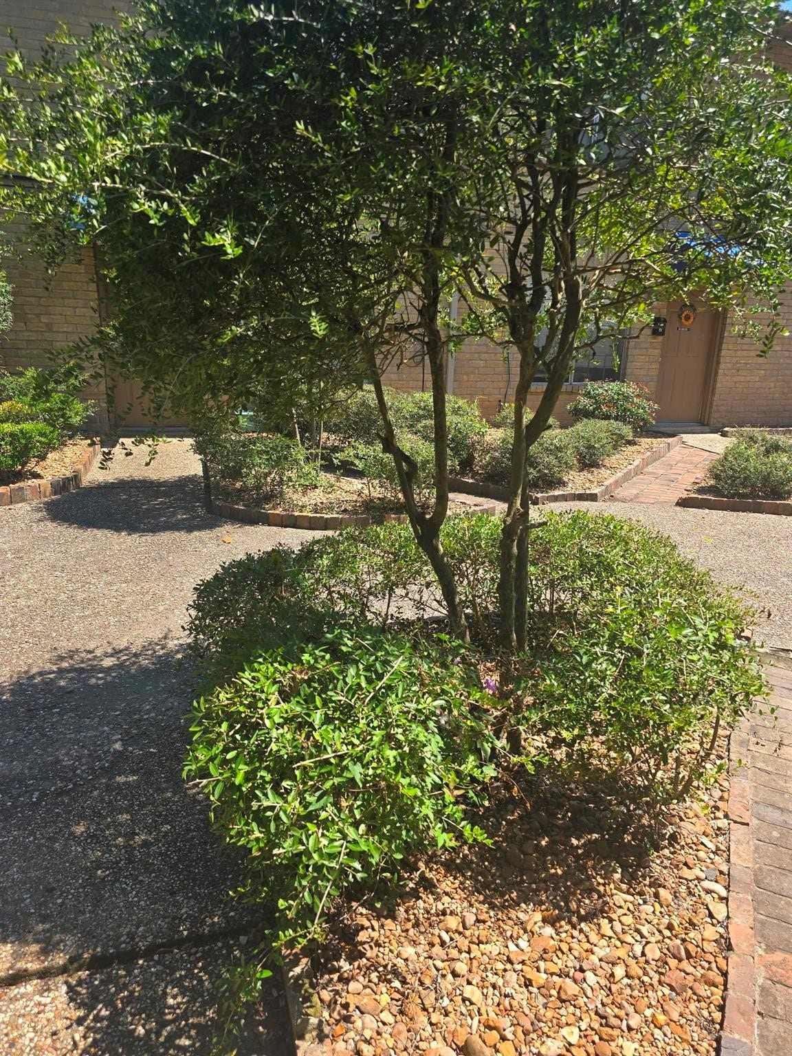 600 Hilliard Street, Conroe, TX 77301 600 Hilliard Street, Conroe, TX 77301