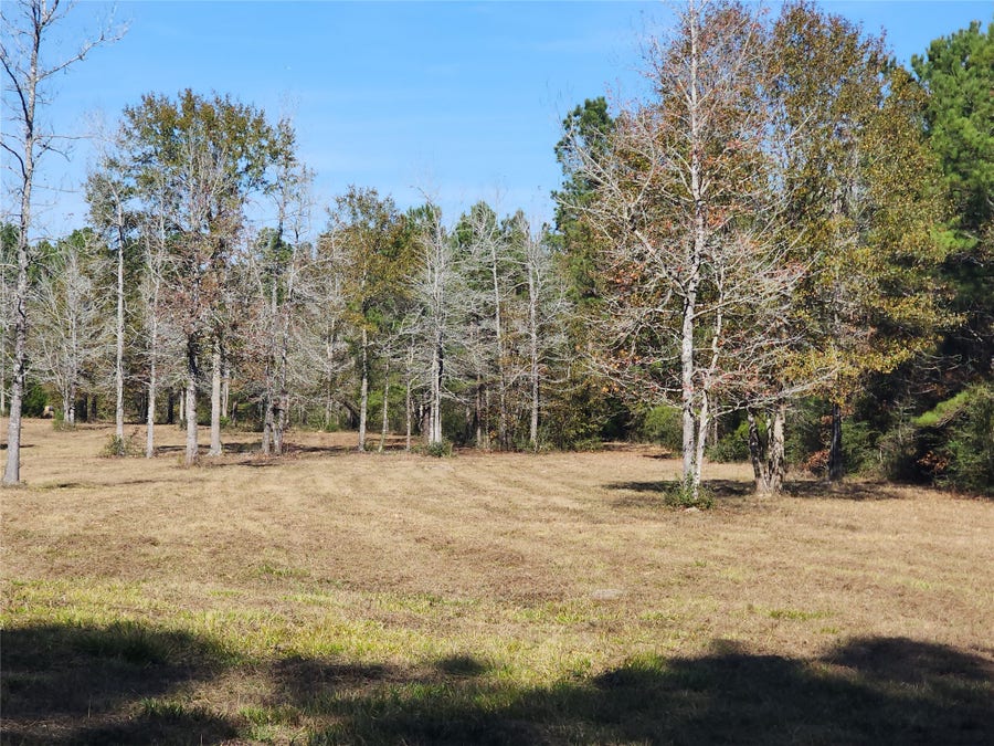 Property photo for 0 Bailey Grove Road, Montgomery, TX