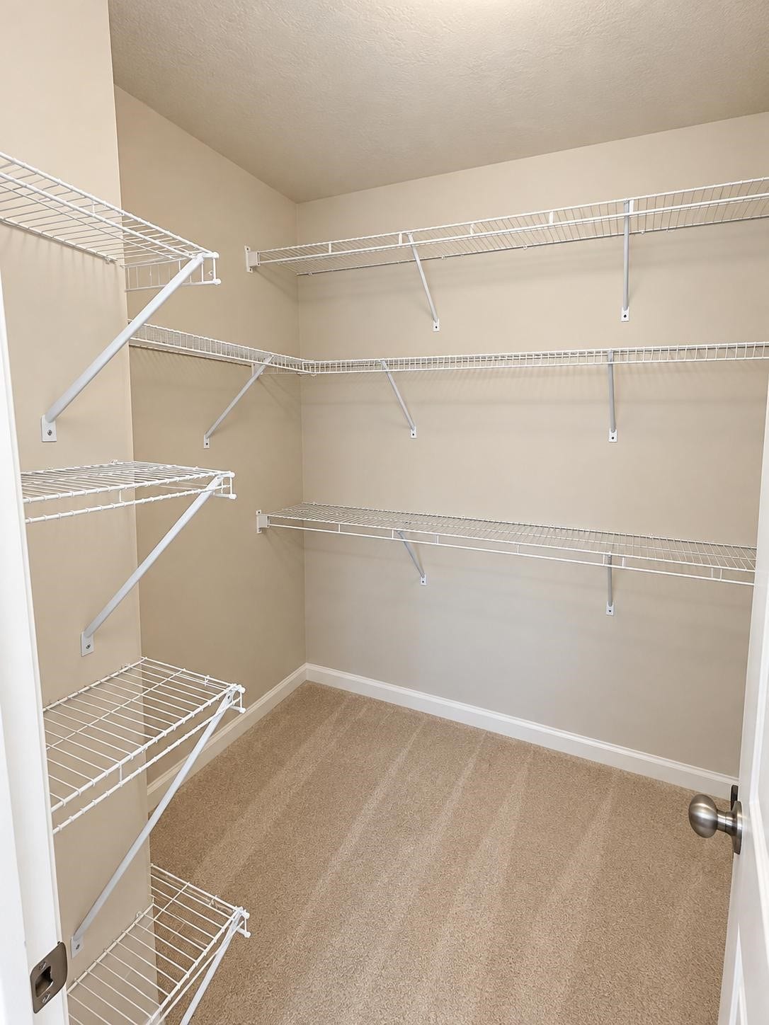 16343 Bettong Court, Sugar Land, TX 77498 16343 Bettong Court, Sugar Land, TX 77498